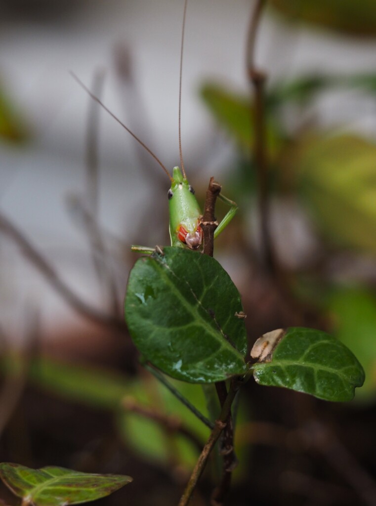 初めまして。。。