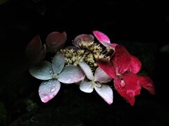 最後にマジック・・・？