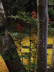 福をなす