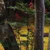福をなす
