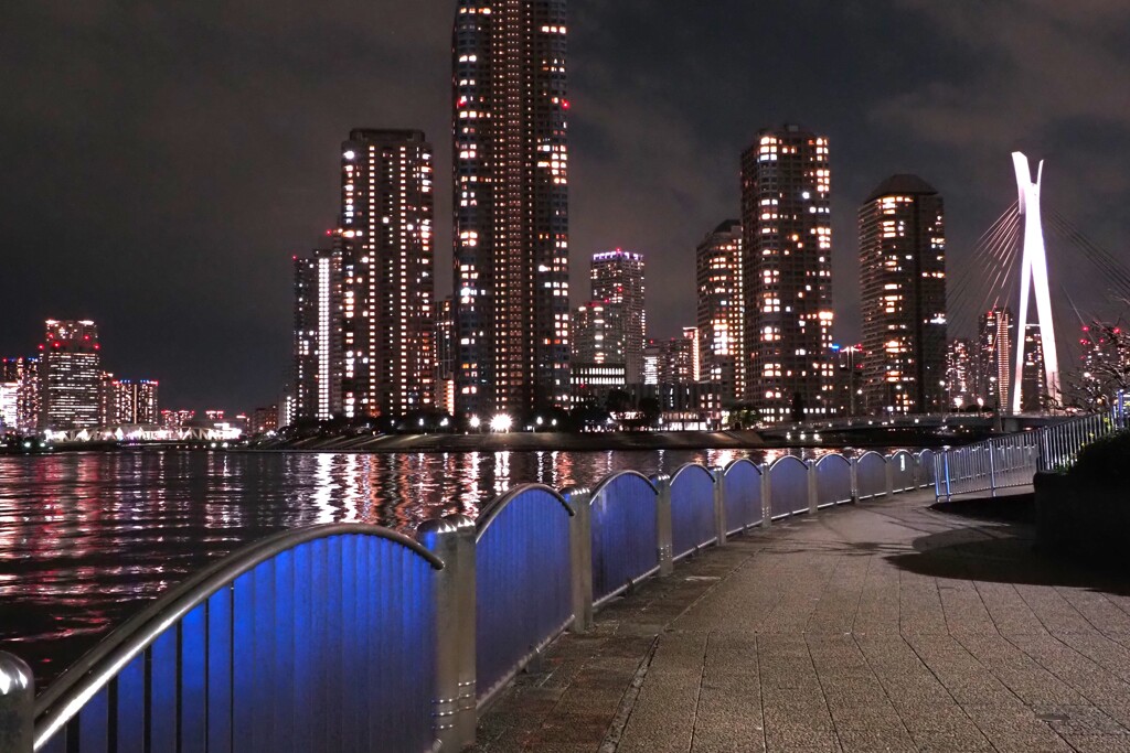 隅田川no散歩道