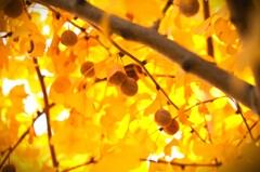 嫌がられても。。。。