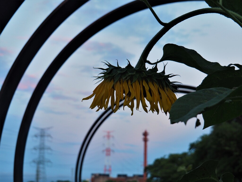 疲れちゃったーー