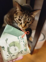 七草がゆ②