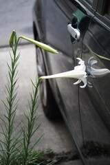 愛車にキッス♡