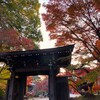 晩秋の東漸寺