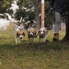 愛犬と散歩