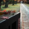 東漸寺