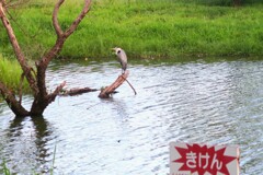 きけんゾーンの湖畔