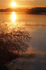 神々の光、枯草に。。