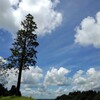 夏雲踊る