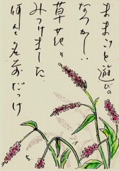 秋の草花