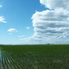 この雲何に見えますか