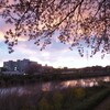 夕景
