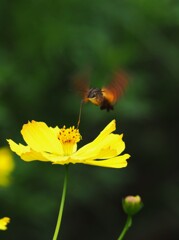 食欲の秋