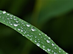 雨あがり