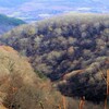 那須・平成の森