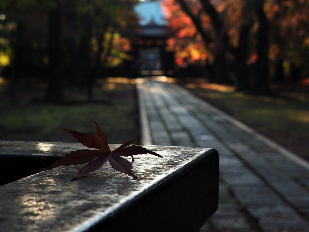 モデルになってね☆☆