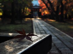 モデルになってね☆☆