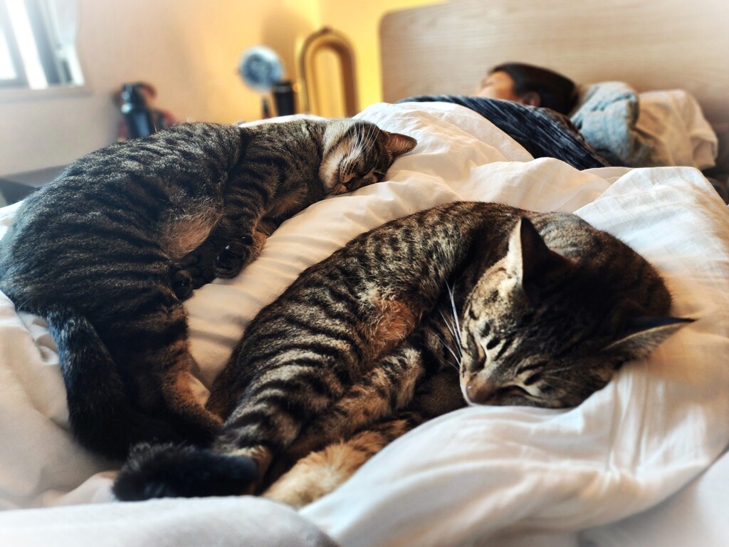 やっぱりママのそばがいい♡♡
