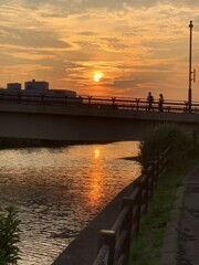 夕方の散歩道