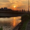 夕方の散歩道