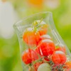 夏色のグラス
