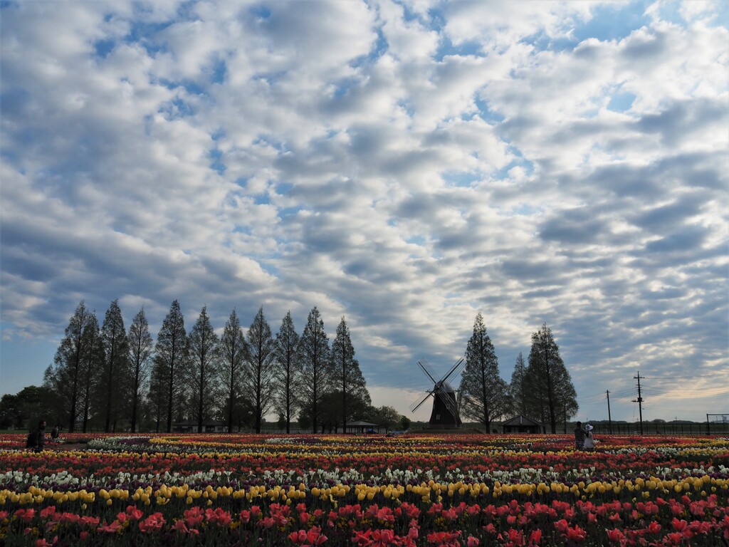 あけぼの山農業公園