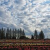 あけぼの山農業公園