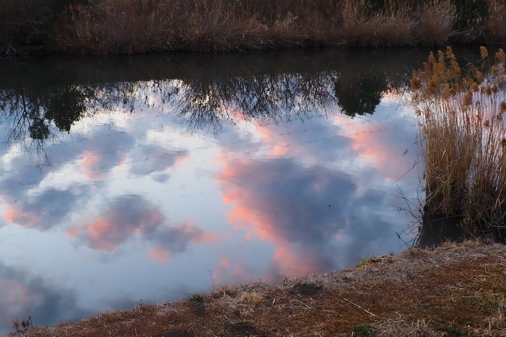 爽やかな夕焼け