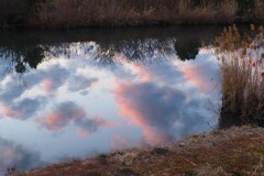 爽やかな夕焼け