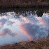 爽やかな夕焼け