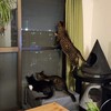 何を見つけたの？