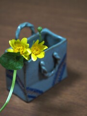 ＊あなたに会える幸せ＊