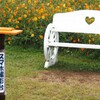 今どきの公園(^^♪