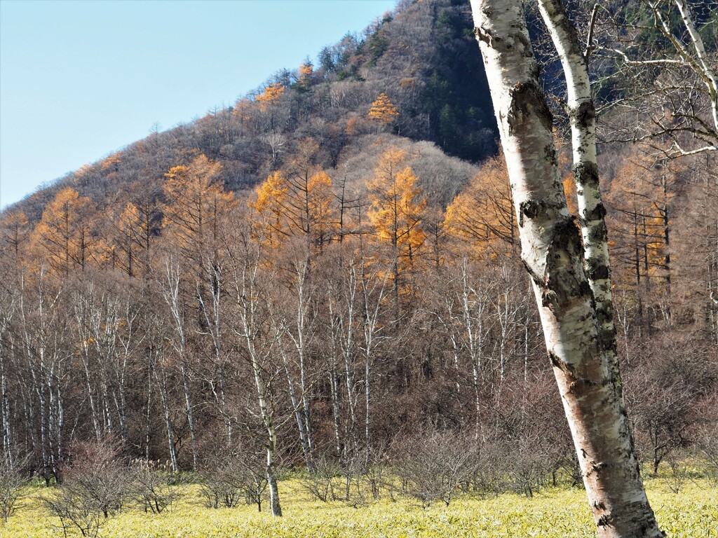 カラ松が待っててくれました
