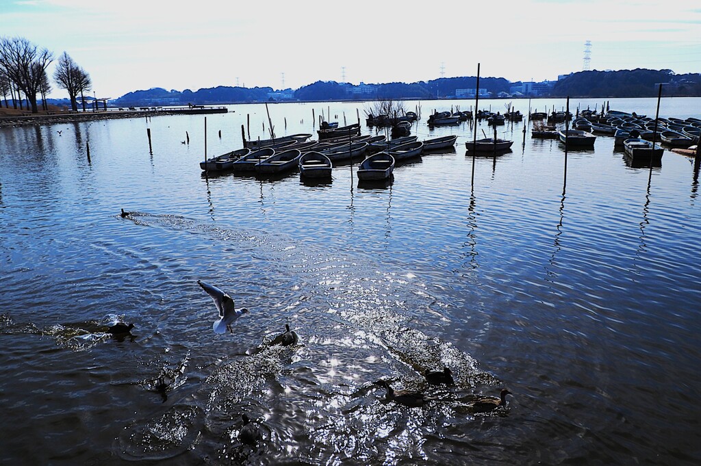 春の光を感じるひととき☆