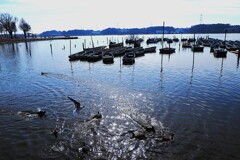 春の光を感じるひととき☆