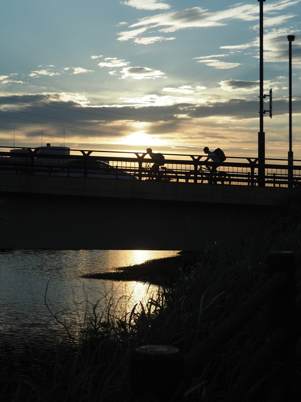 夕方の散歩道