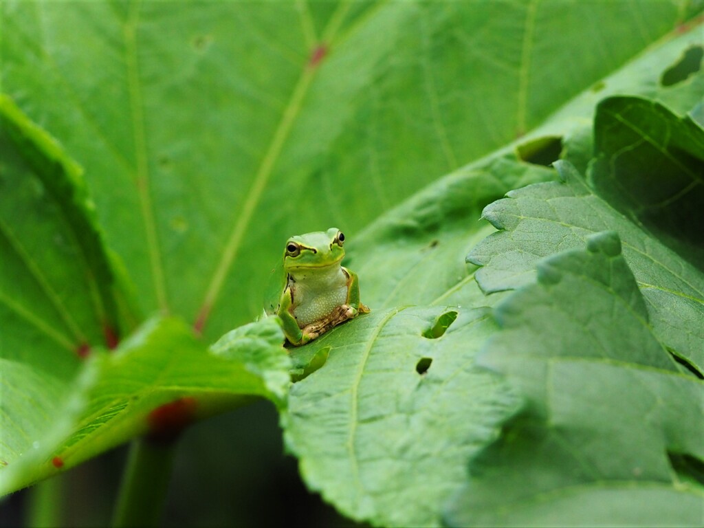 今年も君に会いたい～♡