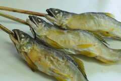 鮎の素焼き