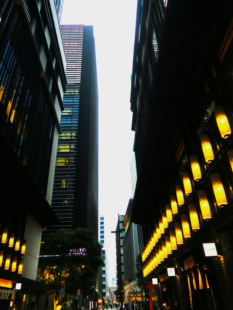 夜の街・日本橋