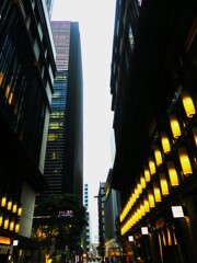 夜の街・日本橋