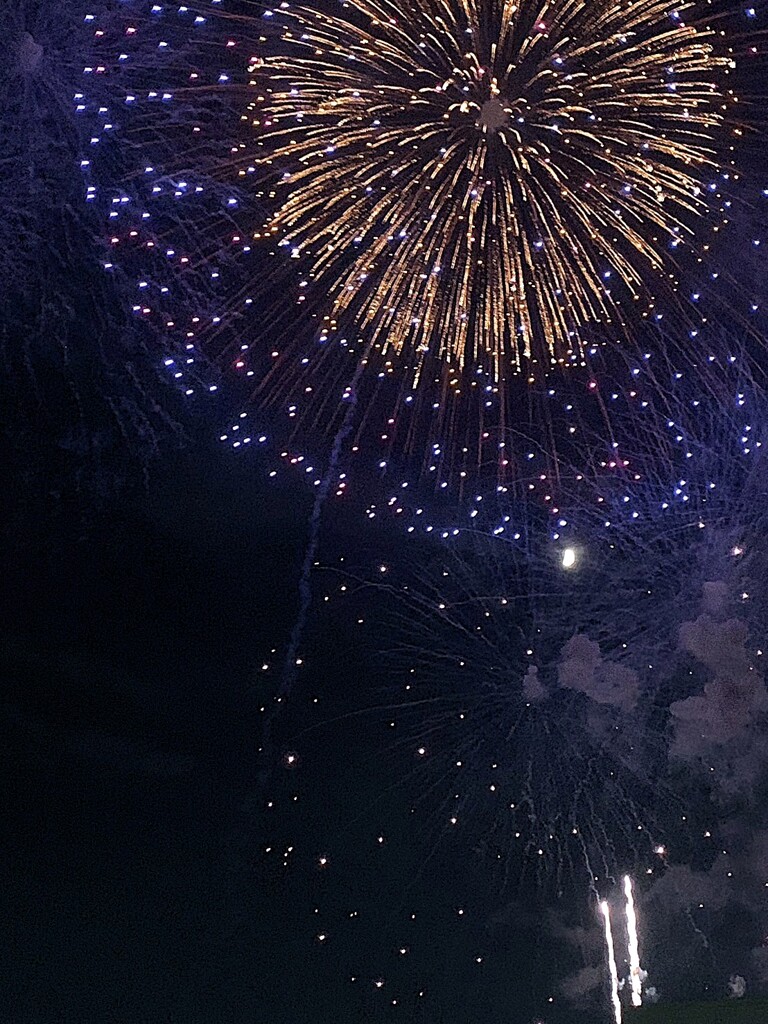 手賀沼花火③