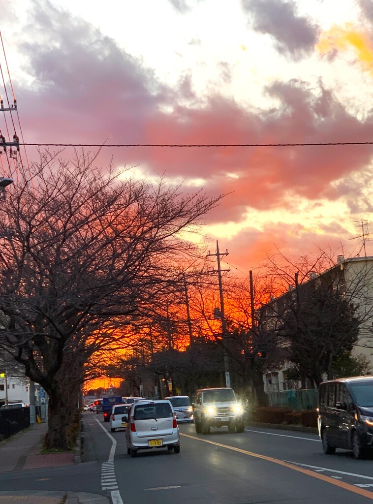 凄い夕焼けです☆
