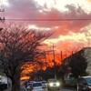 凄い夕焼けです☆