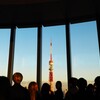 人気の 東京タワー