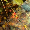 名残りの秋
