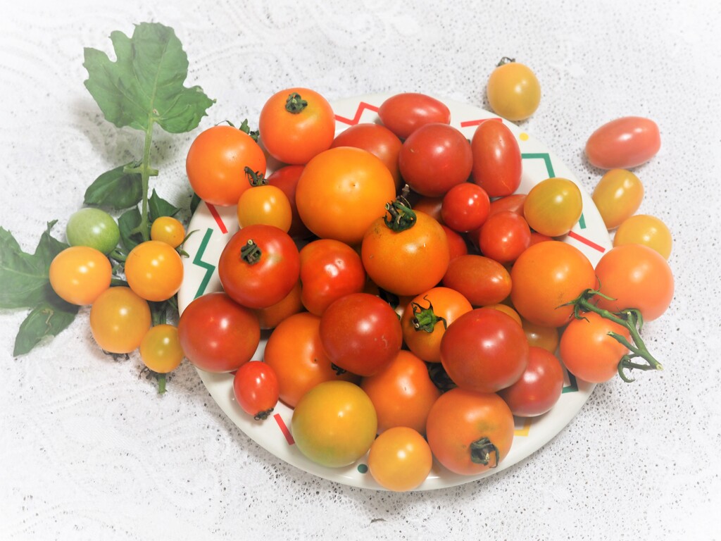 夏の名残り、、、