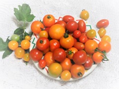 夏の名残り、、、